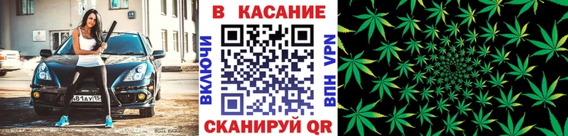 Купить наркотики сайты Егорьевск Кетамин  Псилоцибиновые грибы  Гашиш  Cocaine  MDMA 