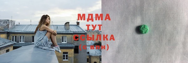 мдпв Каменка
