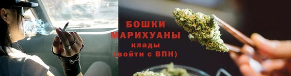 СК Каменногорск