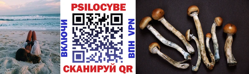 shop клад  Егорьевск  Псилоцибиновые грибы мухоморы 